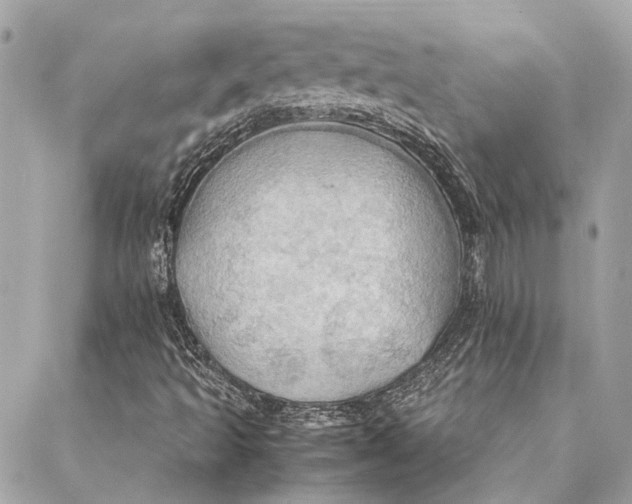 X0000086941493200705071405