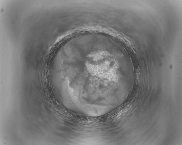 X0000086941494200705071405