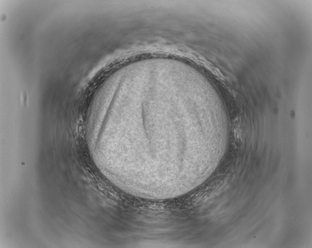 X0000086941495200705071405