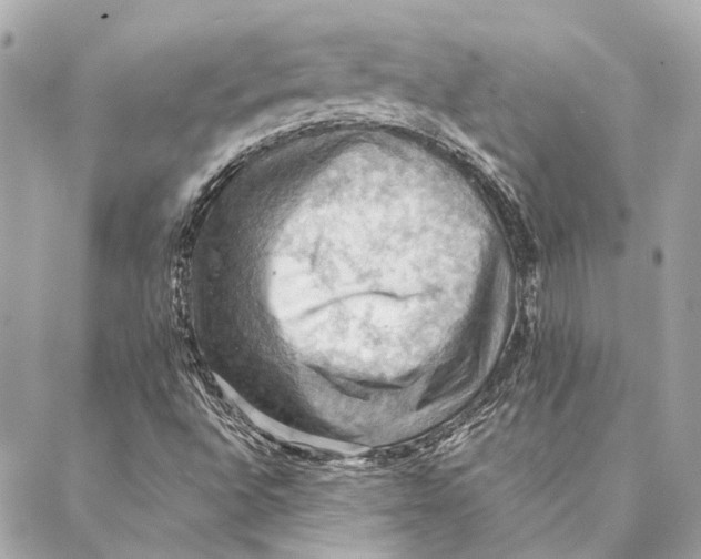 X0000086941496200705071405