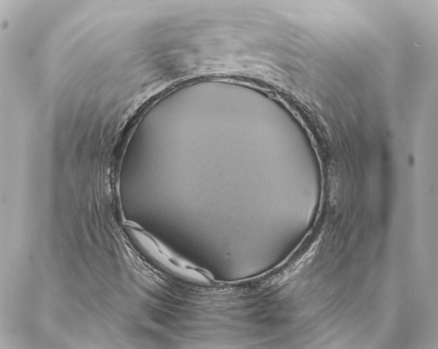 X0000086941497200705071405