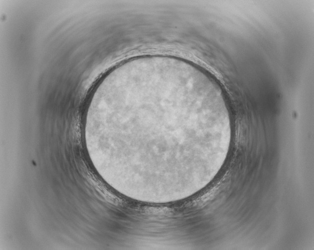 X0000086941498200705071405