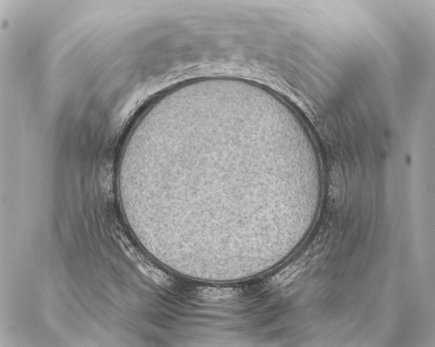 X0000086941499200705071405