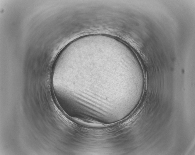 X0000086941500200705071405