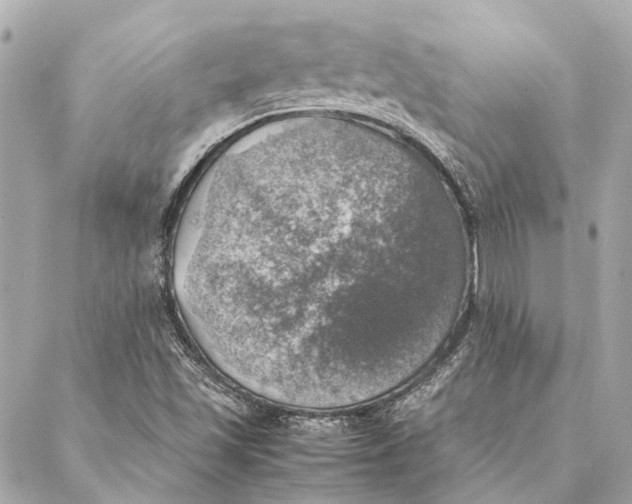 X0000086941501200705071405