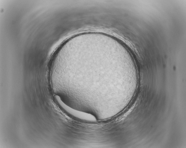 X0000086941502200705071405