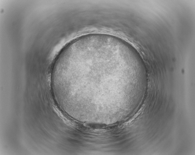 X0000086941503200705071405