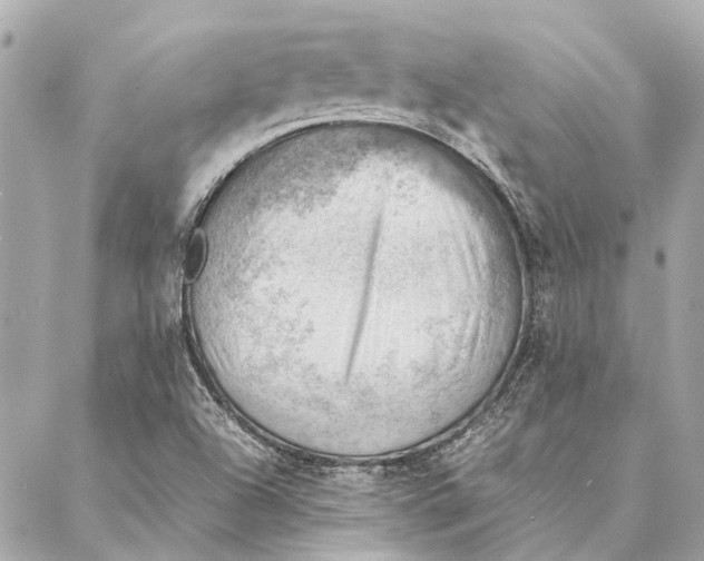 X0000086941504200705071405