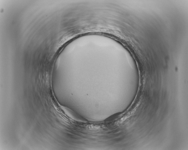 X0000086941505200705071405