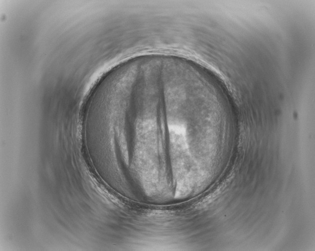 X0000086941506200705071405