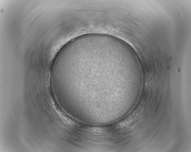 X0000086941507200705071405