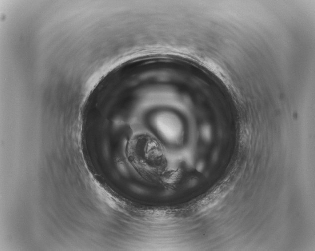 X0000086941508200705071405