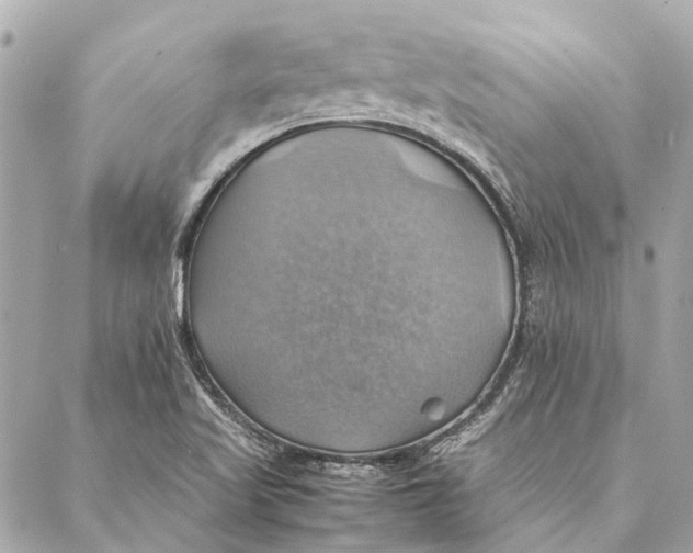 X0000086941509200705071405