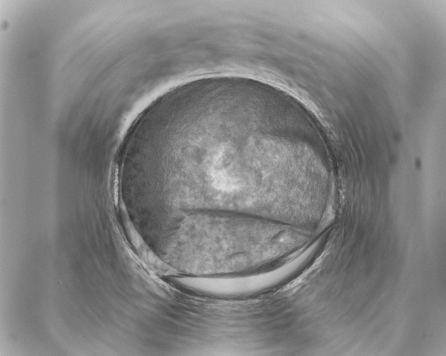 X0000086941510200705071405