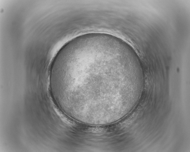 X0000086941511200705071405