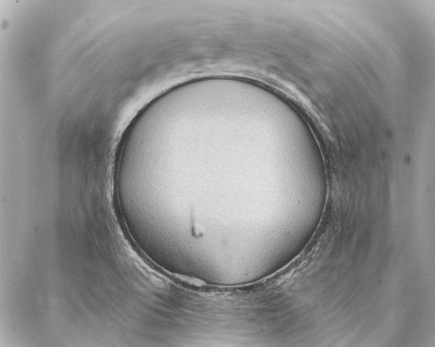 X0000086941512200705071405