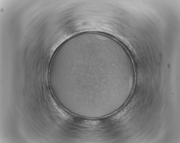 X0000086941513200705071405