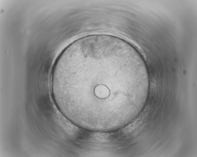 X0000086941514200705071405