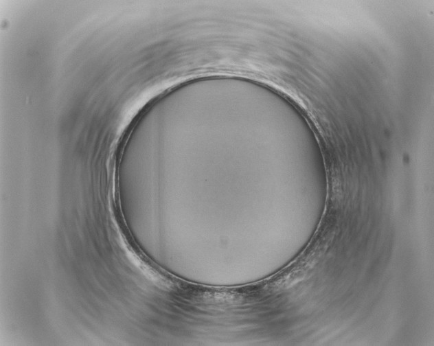 X0000086941515200705071405