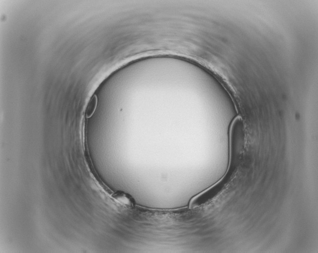 X0000086941516200705071405