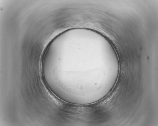 X0000086941517200705071405