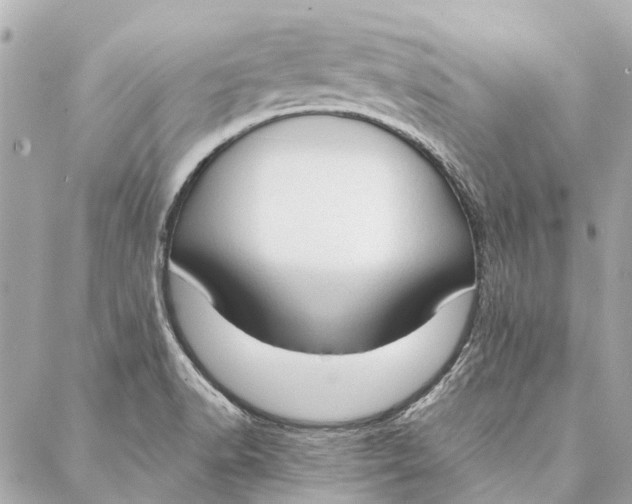 X0000086941518200705071405