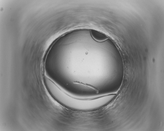 X0000086941519200705071405