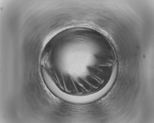 X0000086941520200705071405