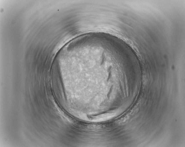 X0000086941521200705071405