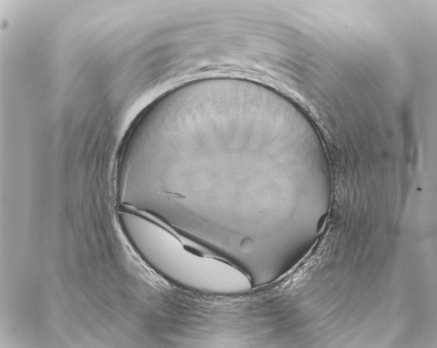 X0000086941522200705071405