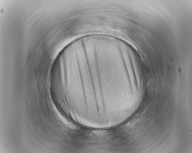 X0000086941523200705071405