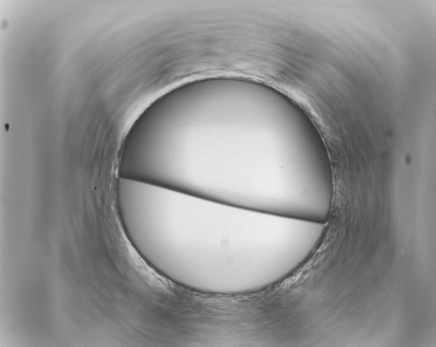 X0000086941524200705071405