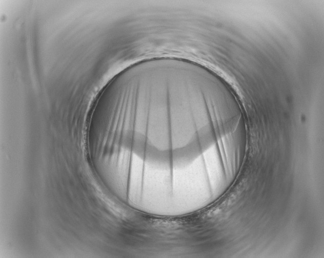 X0000086941525200705071405