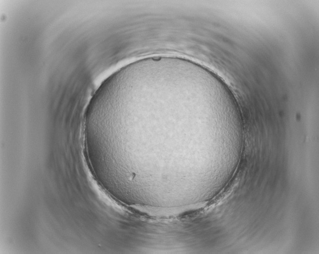 X0000086941526200705071405