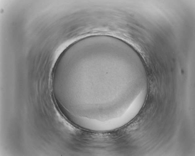 X0000086941527200705071405