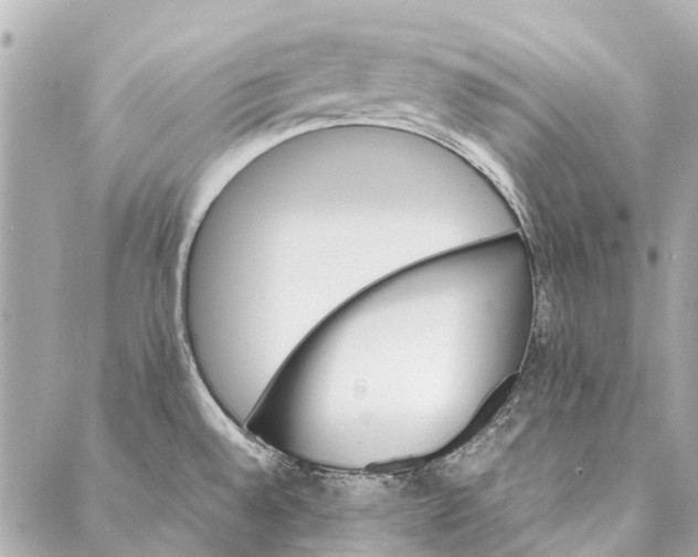 X0000086941528200705071405