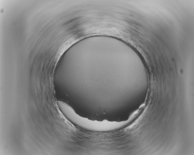 X0000086941529200705071405