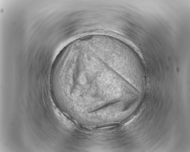 X0000086941530200705071405