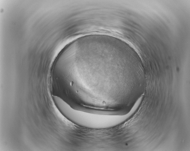 X0000086941531200705071405