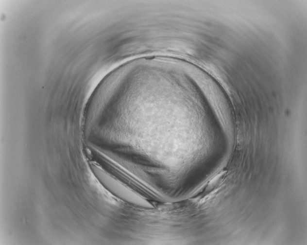 X0000086941532200705071405