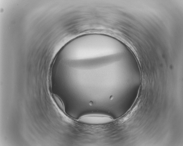 X0000086941533200705071405