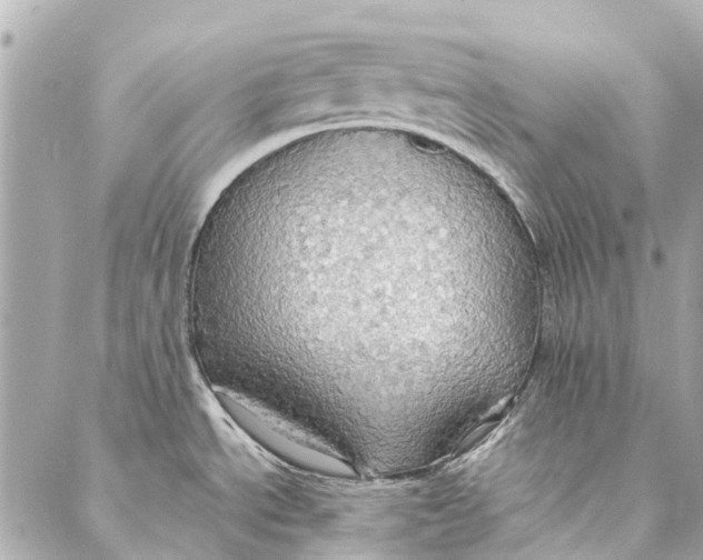 X0000086941534200705071405