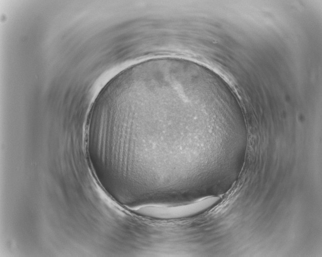 X0000086941535200705071405