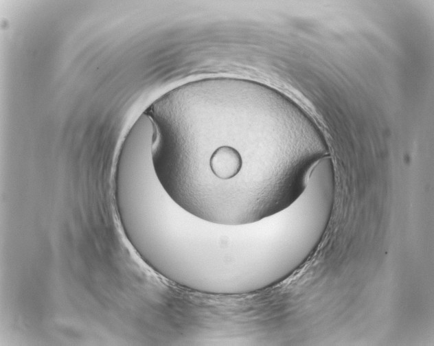 X0000086941536200705071405