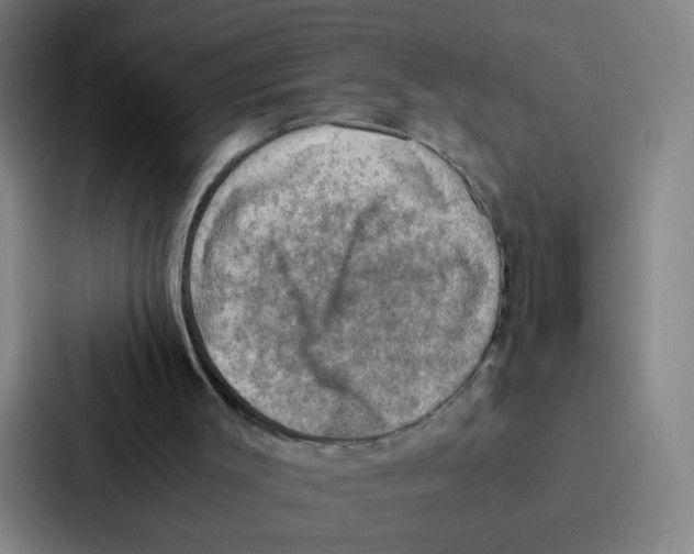 X0000086940003200705141811