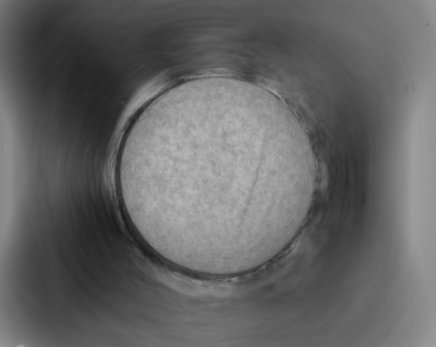 X0000086940004200705141811