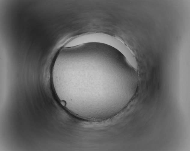 X0000086940005200705141811