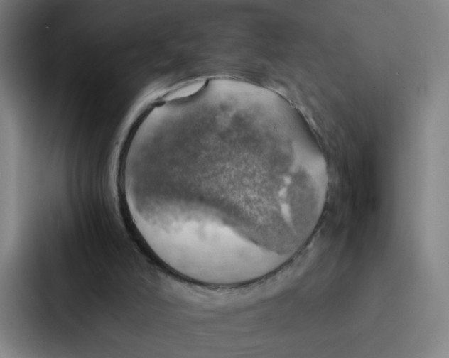 X0000086940006200705141811