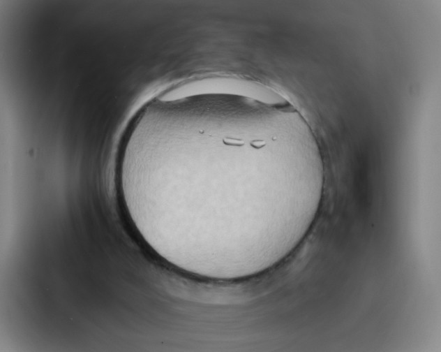 X0000086940008200705141811