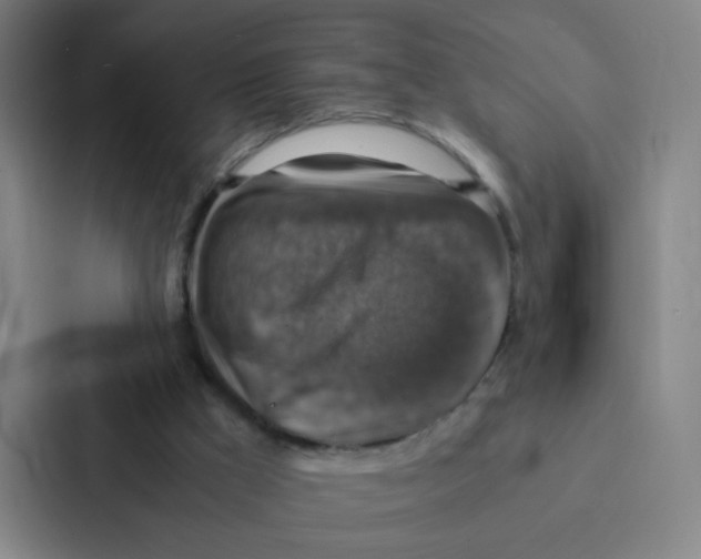 X0000086940009200705141811